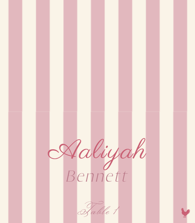 Harbor Stripe wedding place card preview with example wedding details