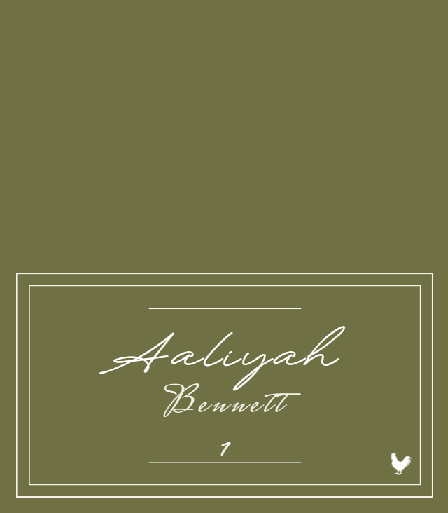 Heritage Double Line wedding place card preview with example wedding details